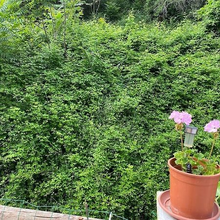 Villa Serenice - F2 Au Calme, Climatise, Wifi Et Parking Gratuit Exterior photo