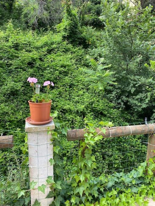 Villa Serenice - F2 Au Calme, Climatise, Wifi Et Parking Gratuit Exterior photo